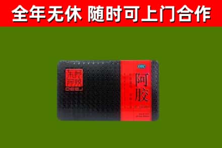 洪梅镇回收阿胶