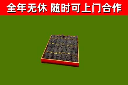 洪梅镇回收海参